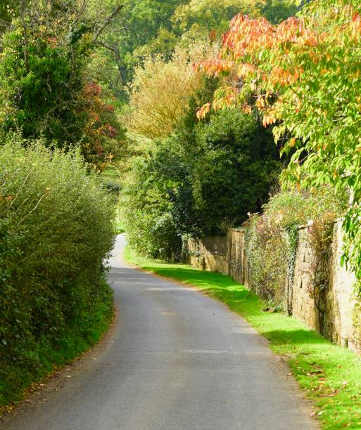 istock English Autumn Landscape 879188926