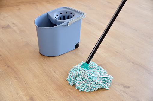 cleaning gear mopping a living room floor with parquet