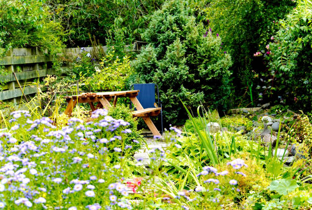 istock Summer country garden 879211446