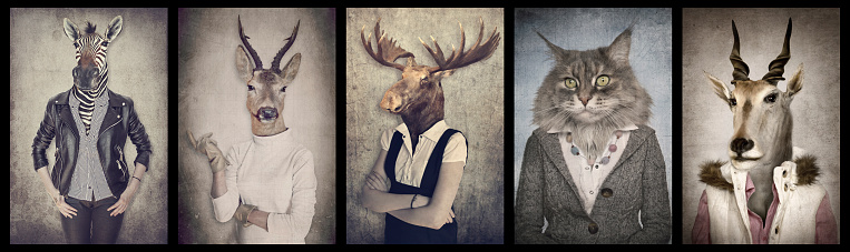 Animals in clothes. Concept graphic in vintage style. Zebra, deer, moose, cat, goat