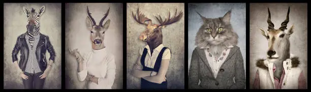 Photo of Animals in clothes. Concept graphic in vintage style. Zebra, deer, moose, cat, goat.