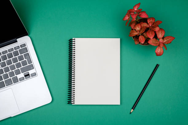 istock Modern office desk table with computer, blank notebook page and red plant. Top view with copy space 879223810