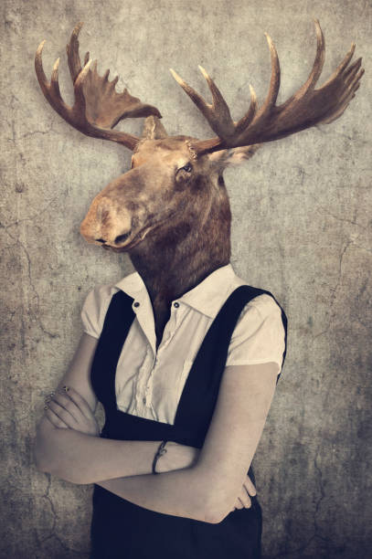 istock Moose in clothes. Concept graphic in vintage style. 879240152
