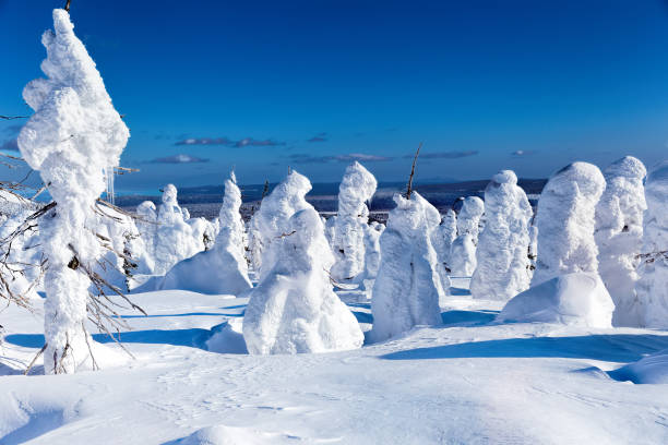 istock Beautiful winter wonderland during the sunny day 879243130