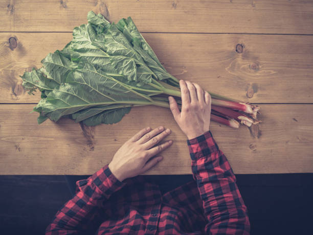 Man sitting at table with rhubarb