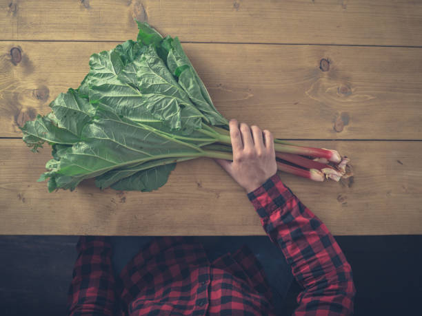 Man sitting at table with rhubarb