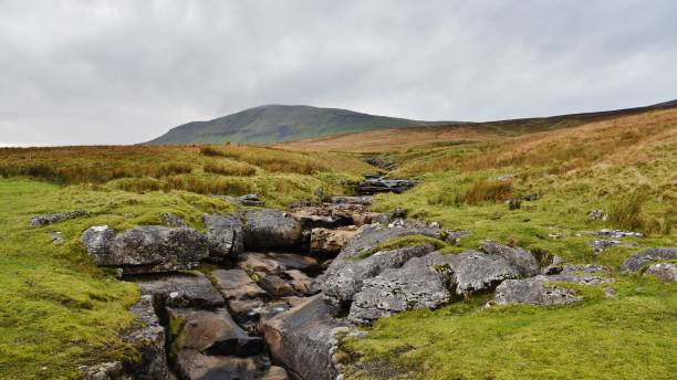 istock Yorkshire Dales National Park, UK 879249160