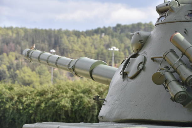 istock The barrel of an old tank 879254318