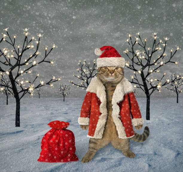 istock Cat with a bag of gifts 879254340