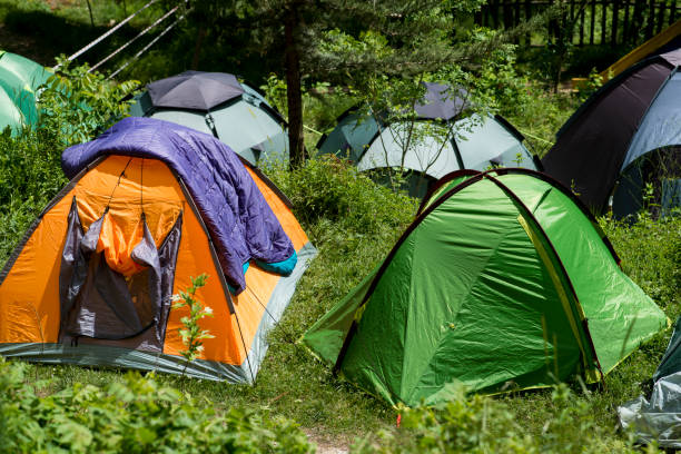 istock camping tents in the forest 879255414