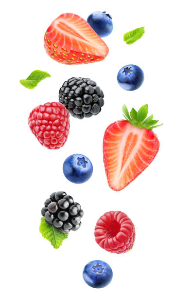 Isolated falling berries Isolated fresh berries in the air. Falling blackberry, raspberry, blueberry, strawberry fruits and mint leaves isolated on white background with clipping path dewberry stock pictures, royalty-free photos & images