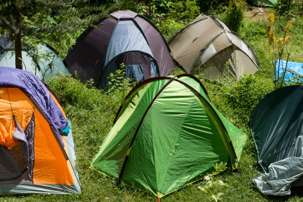 istock camping tents in the forest 879261058