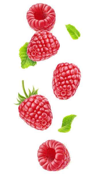 Isolated falling raspberries Isolated berries in the air. Falling raspberry fruits with leaves isolated on white background with clipping path raspberry stock pictures, royalty-free photos & images