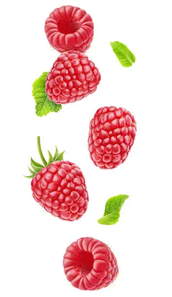 Photo of Isolated falling raspberries