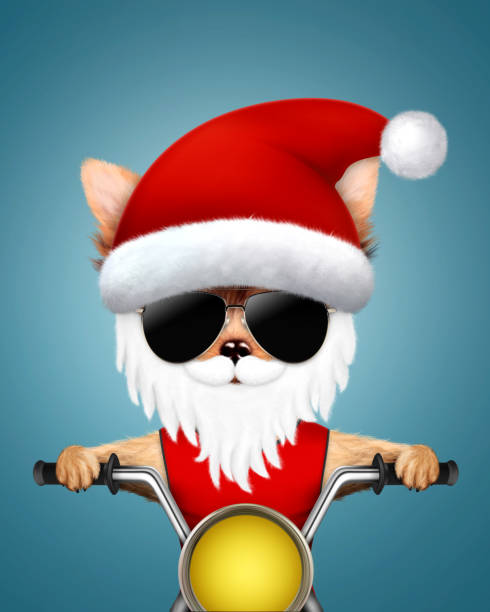 Cute Dogs Santa on a chopper. Christmas concept