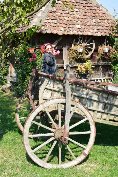 istock Old wooden bullock cart 879267658