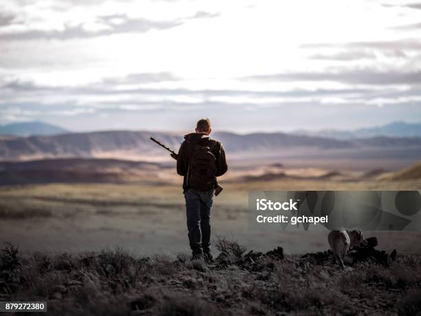 Photo libre de droit de Chasseur De Millénaire Avec Un Chien De Chasse Labrador Jaune Marchant Dans Le Désert Du Nevada Accidenté banque d'images et plus d'images libres de droit de Type de chasse