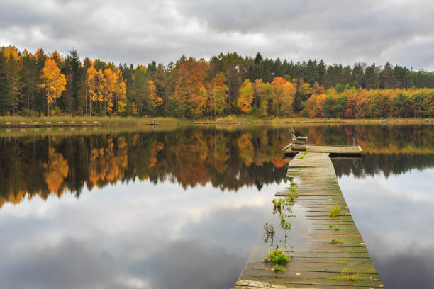 istock Autumn colors on the lake, Poland 879272892
