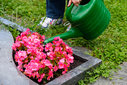 Woman is watering flowers on a grave at a cemetery