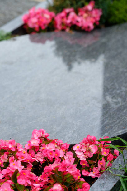 istock Grave at a cemetery with pink flowers 879273252