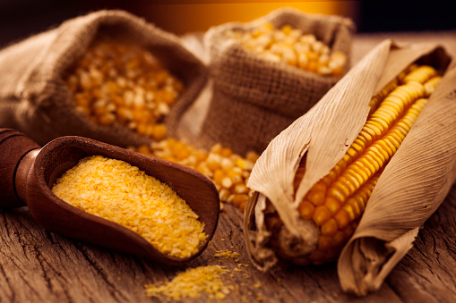 Ear of corn, corn grains inside a sack and cornmeal, upon a rustic wooden table.