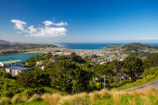 istock Wellington City Centre 879290926