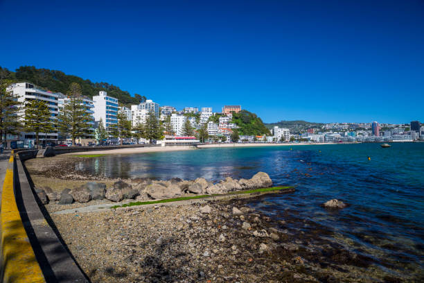 istock Wellington City Centre 879301808