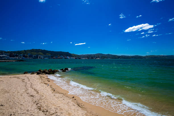 istock Wellington City Centre 879301834