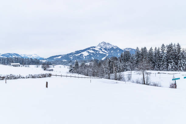Kitzbuehler Horn during winter as panorama with trees, Going am Wilden Kaiser, Tyrol, Austria