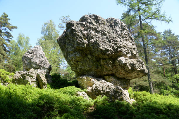 istock Pfahl, a rock at Viechtach, Germany 879305022