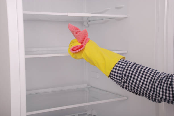 istock Young girl cleaning empty fridge with a sponge. 879321542