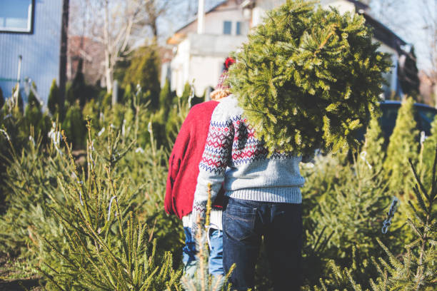 istock Cutting our own Christmas tree 879322160