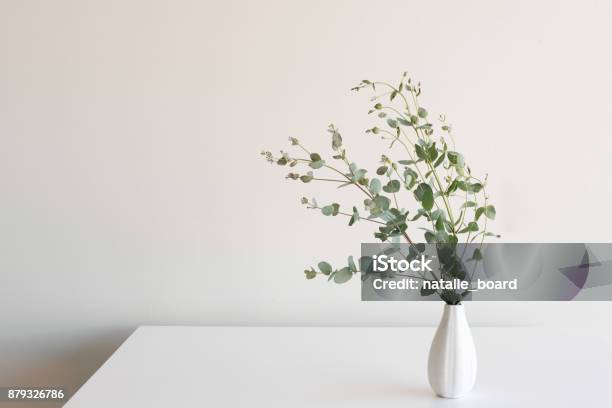 Foglie Di Eucalipto In Vaso Sul Tavolo - Fotografie stock e altre immagini di Albero di eucalipto - Albero di eucalipto, Vaso, Tavolo