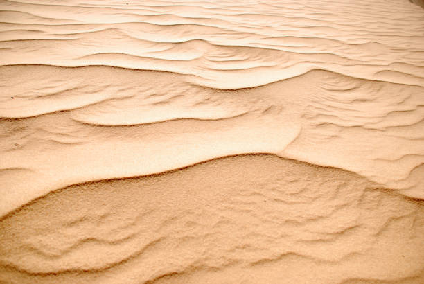 istock Beautiful wave pattern in the desert sand 879348378