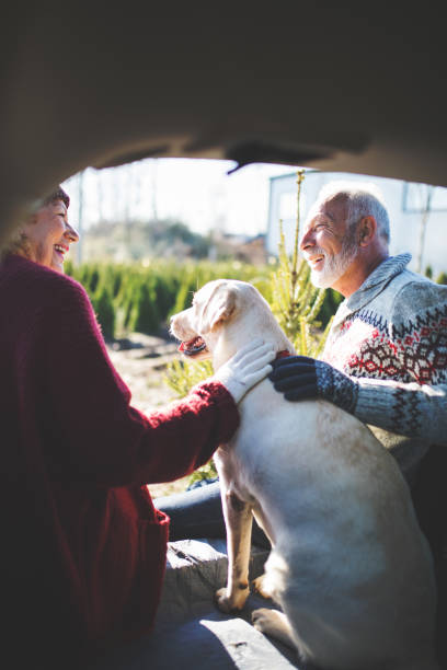 istock Senior couple with dog 879350948