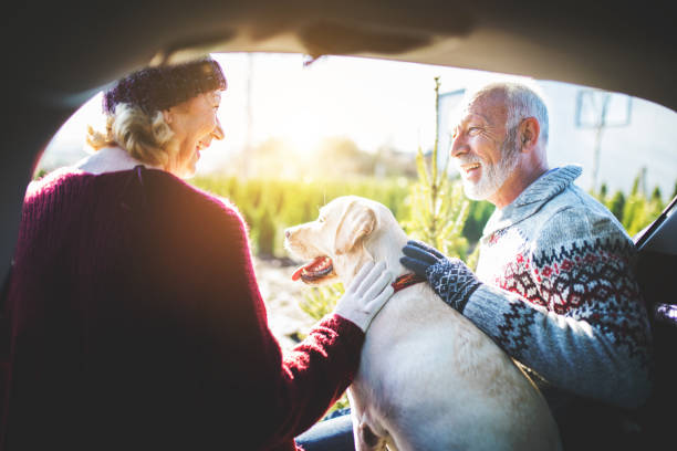 istock Senior couple with dog 879351048