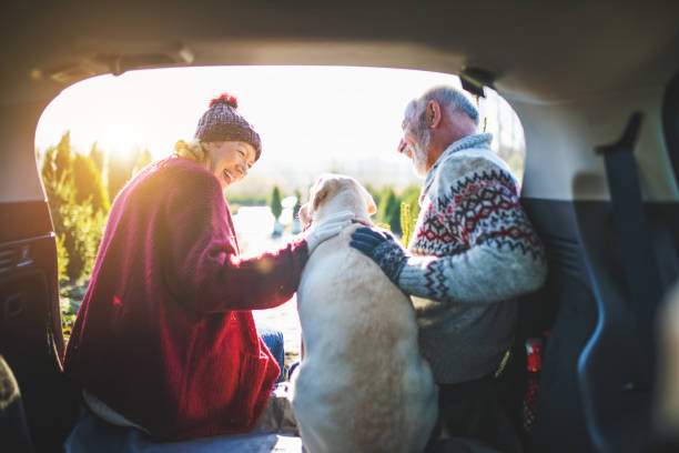 altes paar mit hund - car rear view behind car trunk stock-fotos und bilder