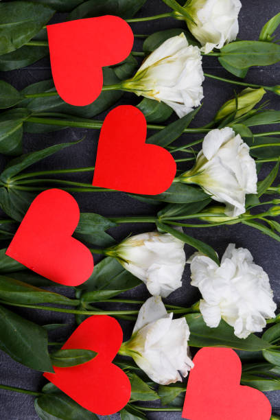 istock Japanese roses lie in a row horizontally against a black background 879364082