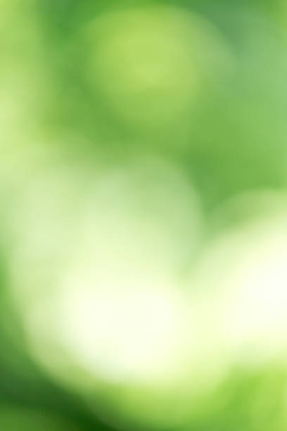 istock beautiful bokeh background in nature 879364772