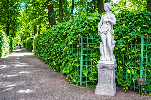 Statue in Summer gardens park of Saint Petersburg, Russia
