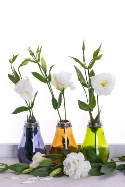 istock Japanese roses in multi-colored vases on the windowsill 879371552