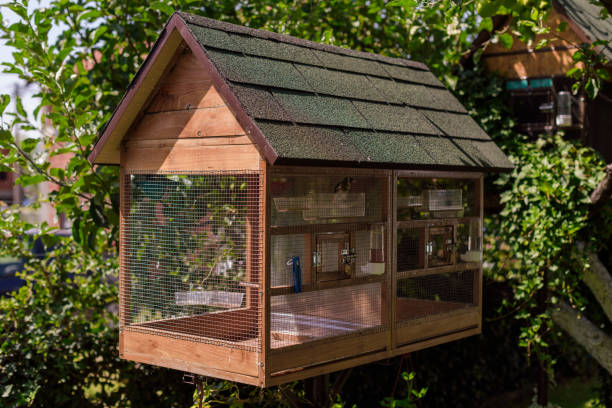 bird house with padlock - aviary imagens e fotografias de stock