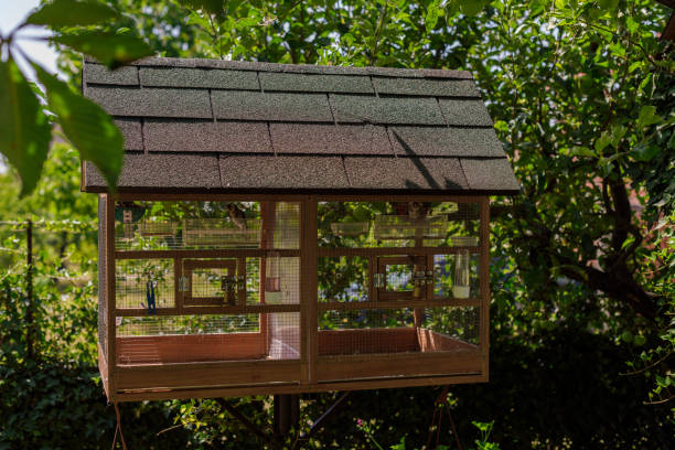 casa del pájaro con candado - aviary fotografías e imágenes de stock