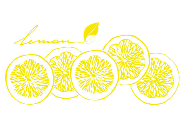 illustrations, cliparts, dessins animés et icônes de tranches de citron. isolé sur blanc. la main dessinée illustration vectorielle. - lemon textured peel portion