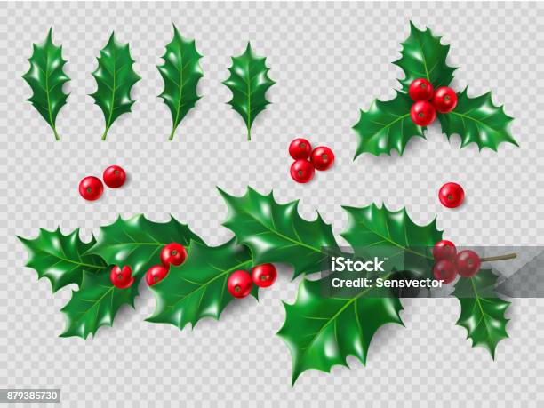 Holly Set Realistic Leaves Branch Red Berries Christmas And New Year Decorations 3d Illustration For Your Layout Design Stock Illustration - Download Image Now