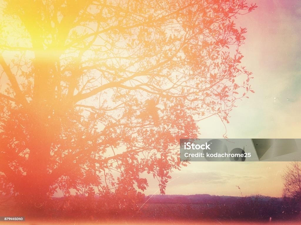 Filtered dreamlike landscape Nature background abstract Filtration Stock Photo