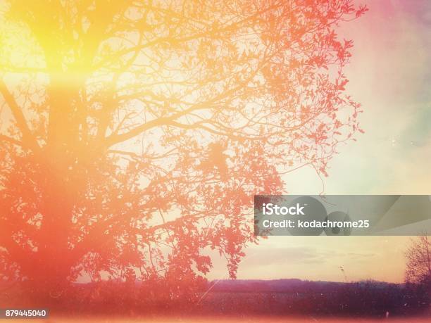 Filtered Dreamlike Landscape Stock Photo - Download Image Now - Filtration, Photography, Photographic Film Camera