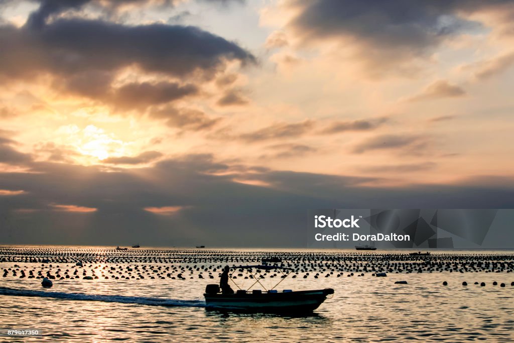 Silhouette of fisherman on boat Dapeng, China Agricultural Field Stock Photo