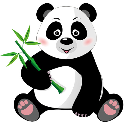 Sitting cute panda with bamboo isolated on white