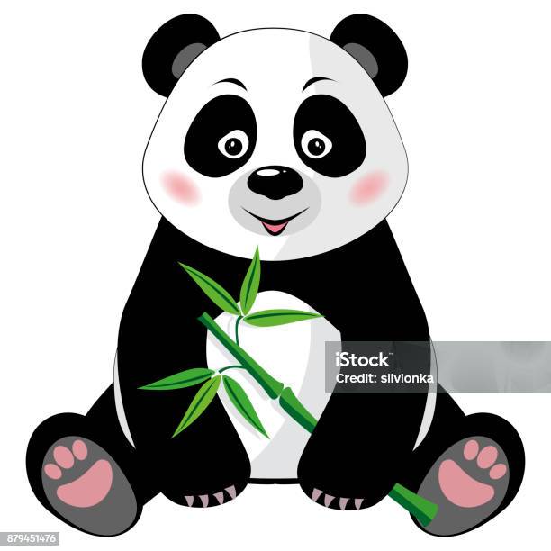 Sitting Cute Panda With Bamboo Isolated On White Background Stock Illustration - Download Image Now